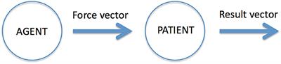 Primary Cognitive Categories Are Determined by Their Invariances